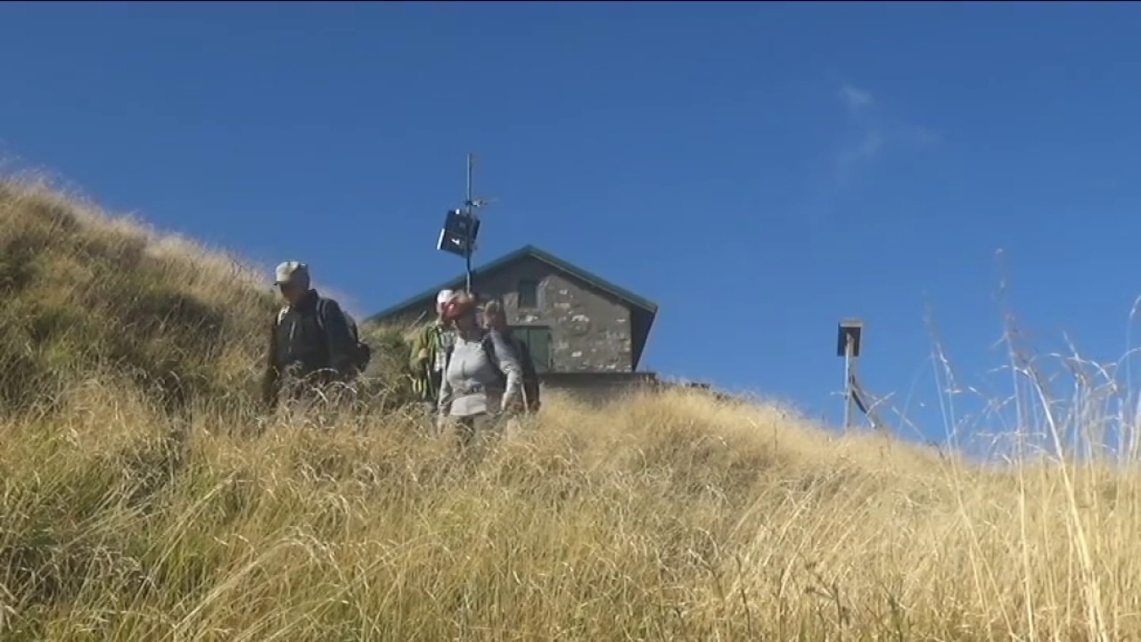 APUANE -  PANIA  SECCA