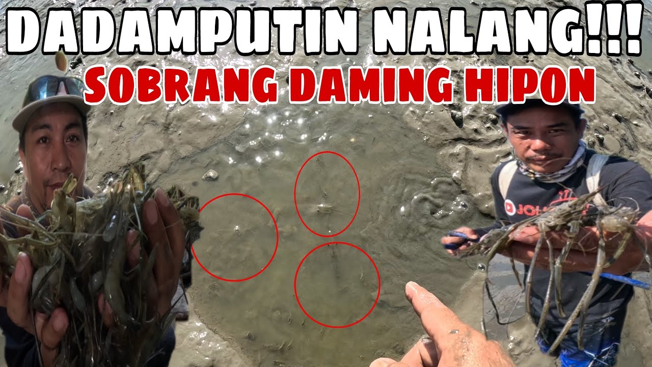 Di Kami makapaniwala sa nakita namin? parang namumulot kanang bato sa dami ng hipon☝️