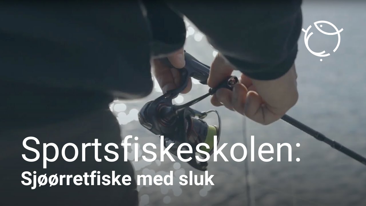 Sportsfiskeskolen | Sjøørretfiske med sluk