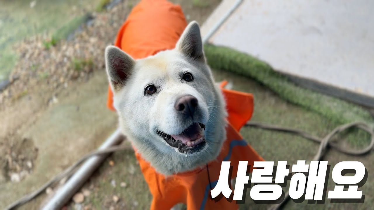 평범한 하루가 내겐 가장 큰 선물.. 매일 선물해줘!!