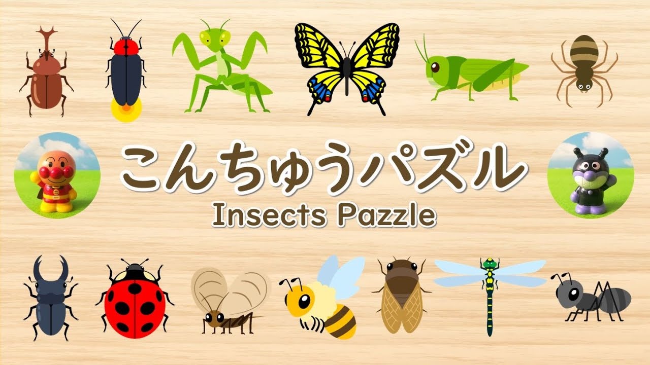 アンパンマンとこんちゅうパズルで遊ぼう！昆虫の名前、赤ちゃん・子供向け知育アニメ