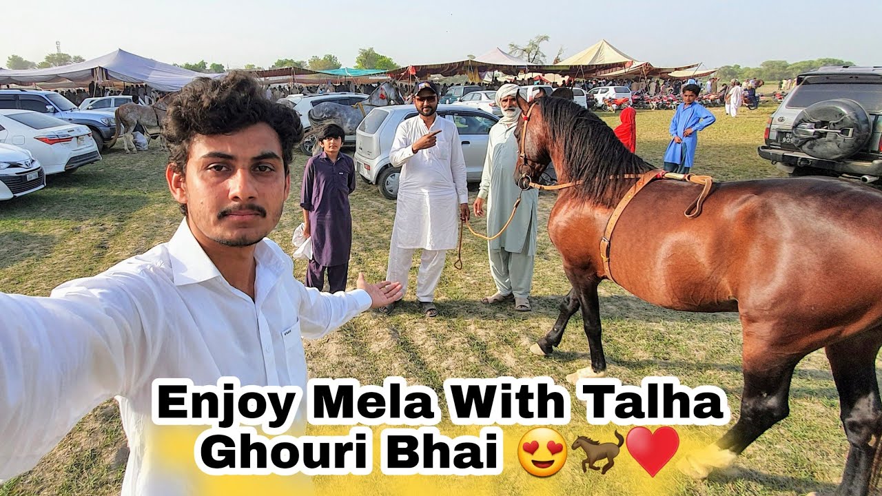 Mely ka Tesra Din || Enjoy Horse Dance Mela With Talha Ghouri Vlogs 😍🐎&hearts;️