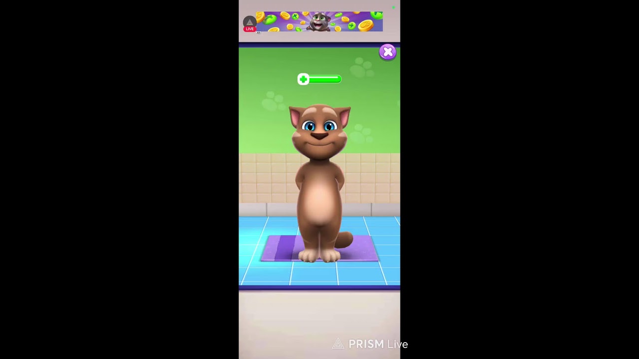 My Talking Tom || #shorts #live #trending #viraltom #funnycat  #mytalkingtom2 #tom #shorts