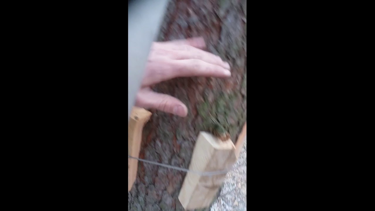 Ul, Kłoda bartna, pasieka, pszczoły, zdrowie, miód bartny