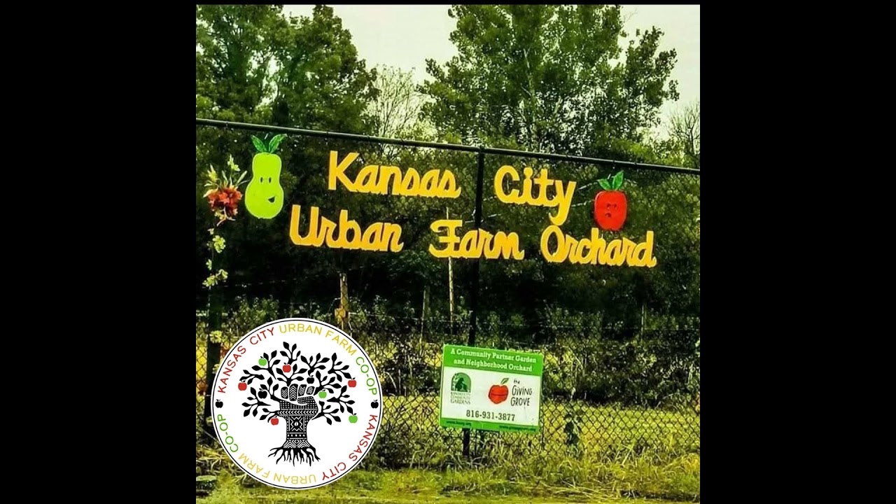 KC Urban Farm Co-Op: Cultivating Empowerment to Rebuild Humanity