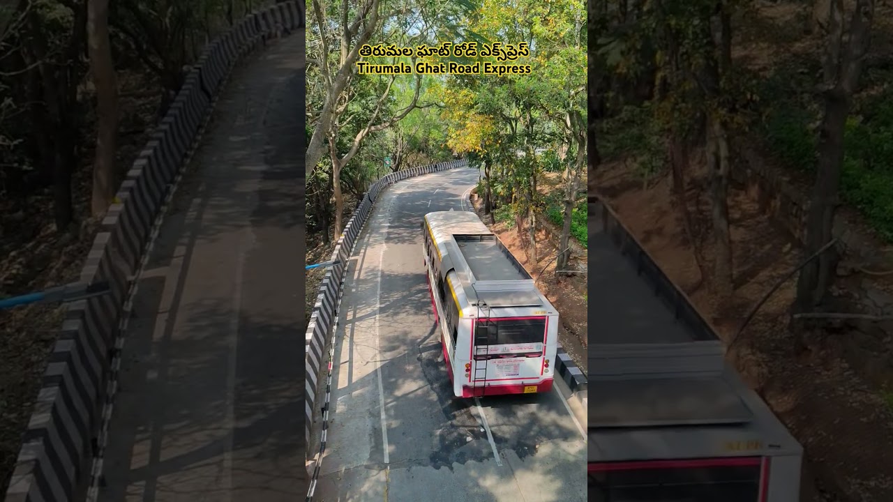 #Tirumala#Tirupati#Ttd#Temple#Devotional#Travel#Vlog#Ghat#Road#Express#Bus#Shorts#Viral#Video#Reels