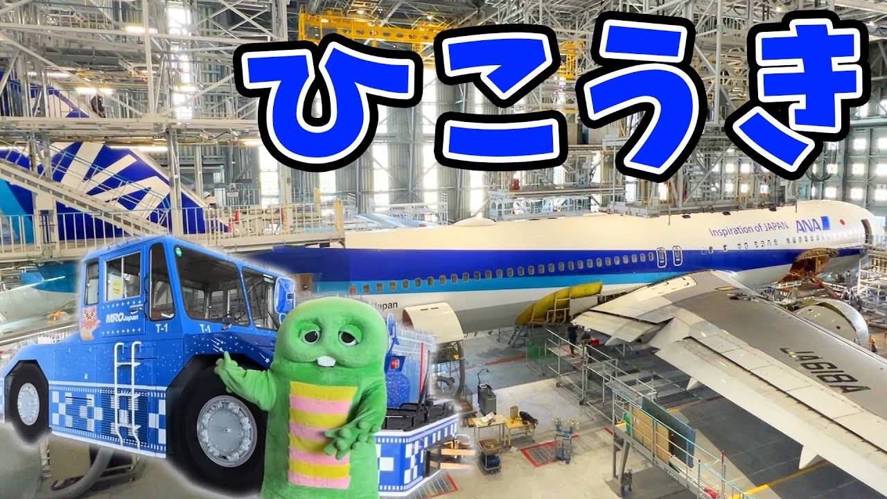 【ひこうき】おきなわでおおきな飛行機の整備場にせんにゅうしてきたよ！【のりもの】【はたらくくるま(働く車)】【ANA】