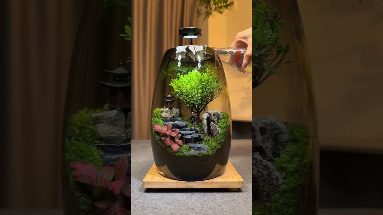 Glass Plant Terrarium Succulent | Air Planter Fern Moss Micro-Landscape Vase for Home Garden Office
