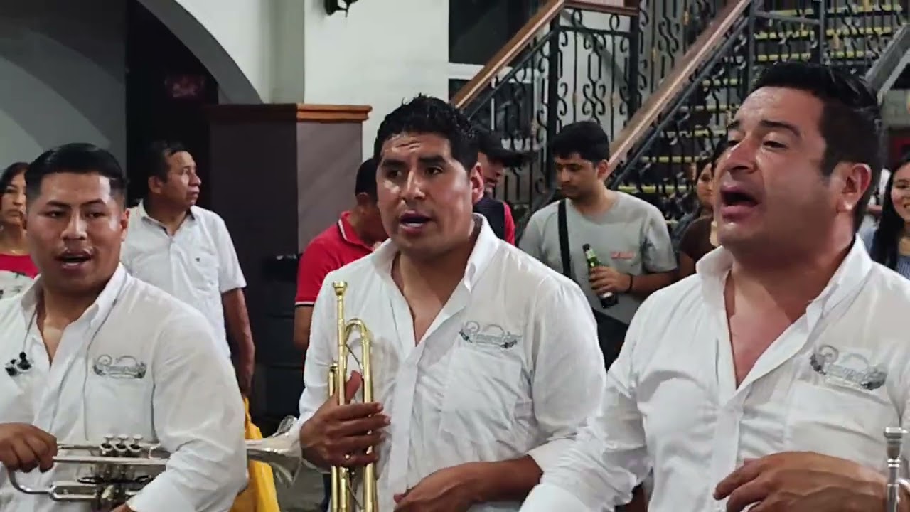 BANDA NUEVA EXPRESIÓN POMAPATA MIX BOÑOS CANTADOS🎺🎺🎷🎷🎷🎺🎺