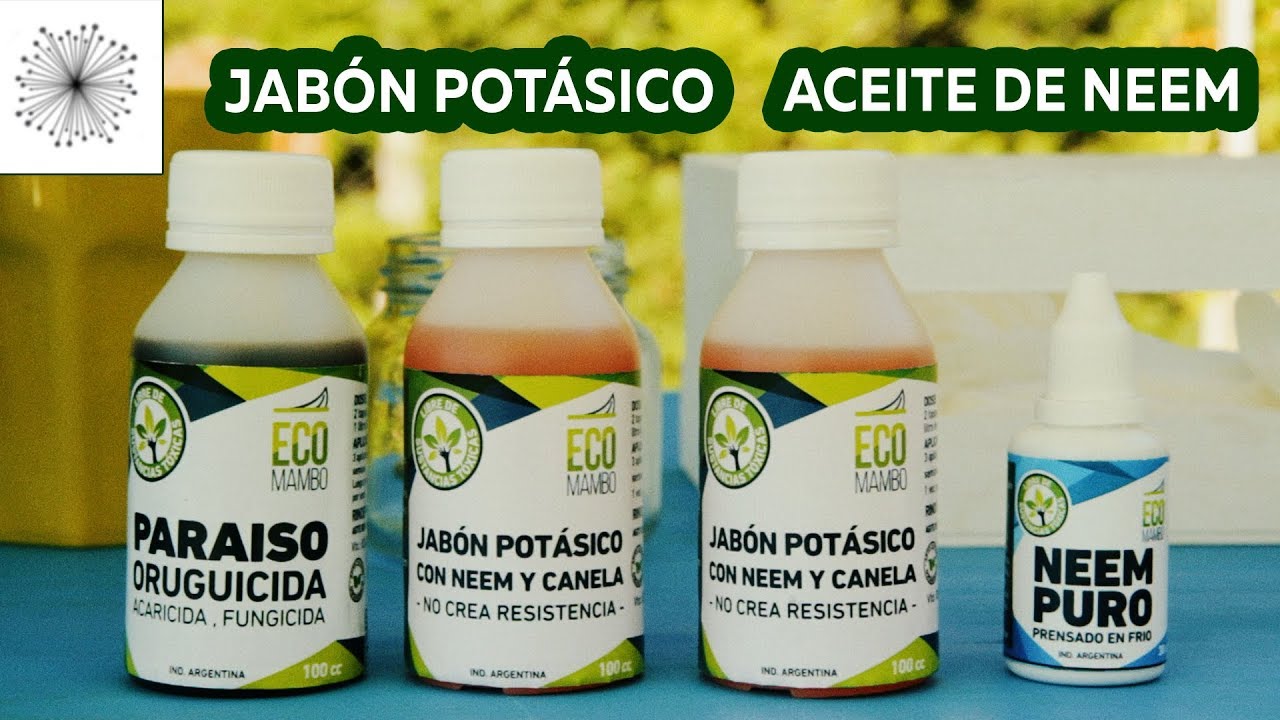 Todo sobre el Jabón Potásico y Aceite de Neem para el control de plagas