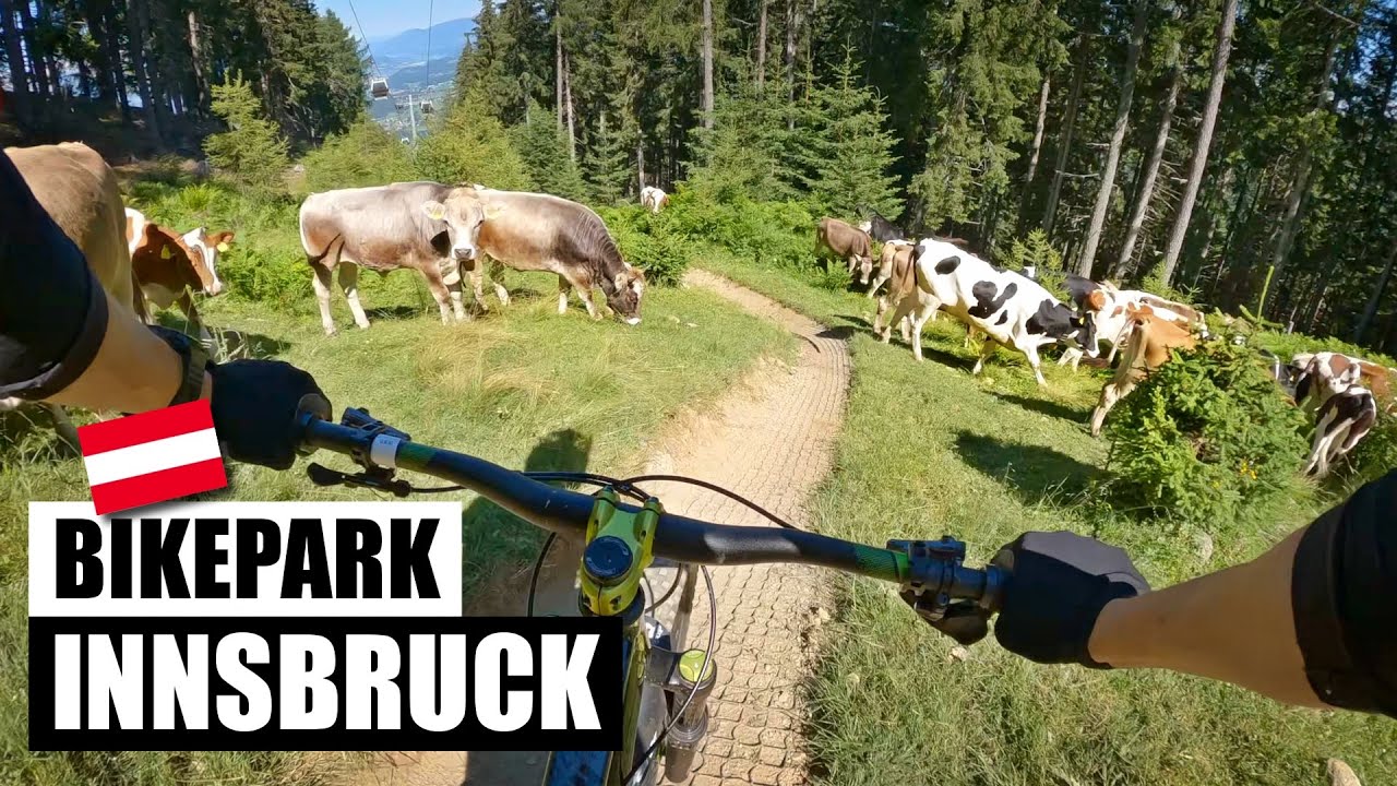 Rakousk&eacute; Alpy a 8 km dlouh&eacute; flow: BIKEPARK INNSBRUCK