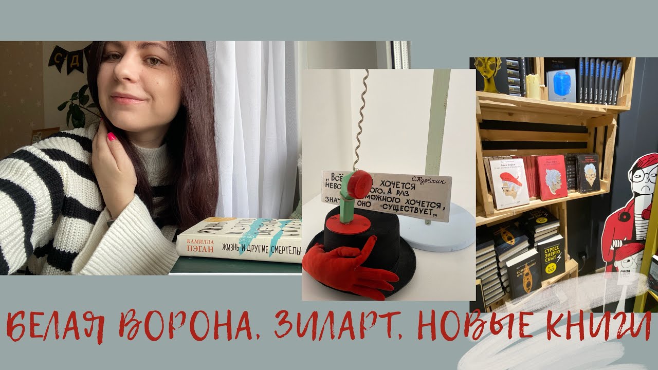 мои будни и выходные зиларт лекция о кабанах новые книги