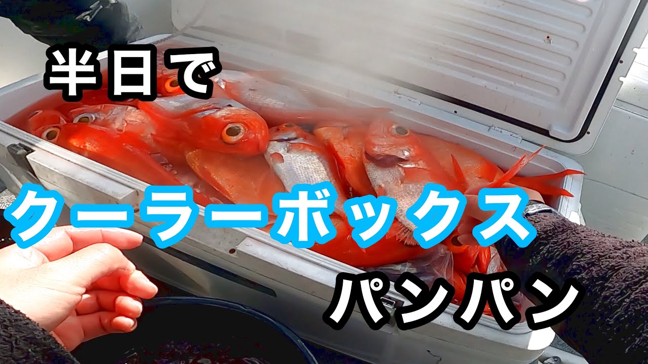 【釣り】キンメダイが止まらない【金目鯛】