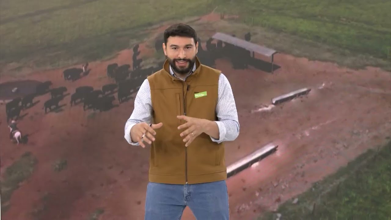 PASTO NA SECA: COMO GARANTIR A NUTRI&Ccedil;&Atilde;O EFICIENTE DAS VACAS?