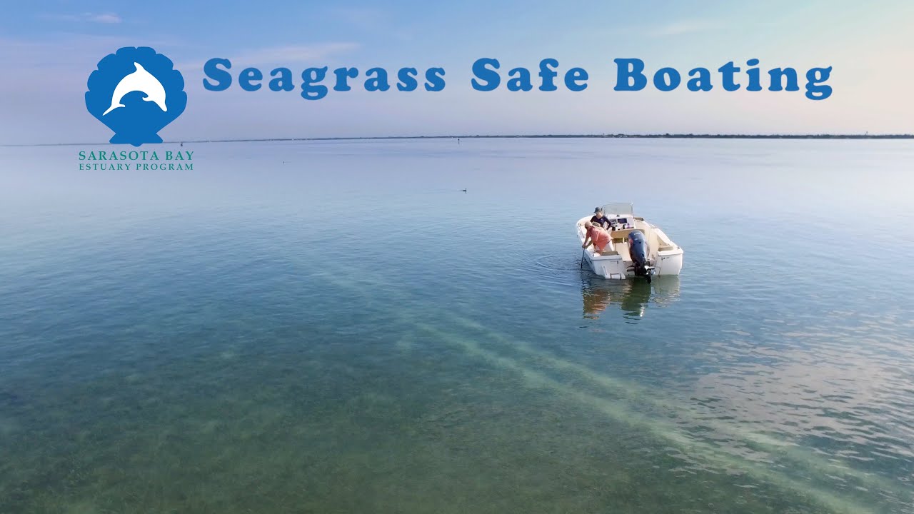 Seagrass Safe Boating in Sarasota Bay