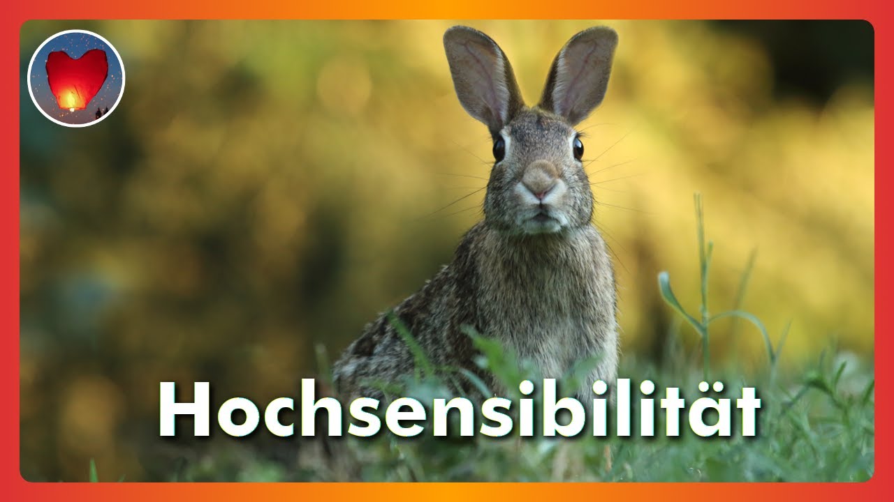 Hochsensibilität als Risikofaktor für Depressionen