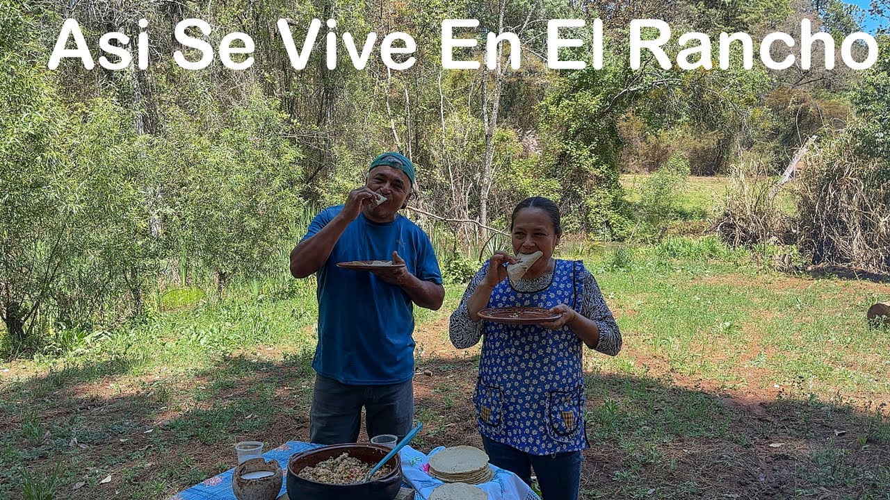 Cocina Mexicana al Aire Libre - Nopales Como NUNCA Los Has Probado