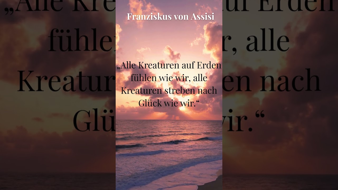 🕊️ Franz von Assisi &ndash; Zeitlose Zitate voller Weisheit 🌿
