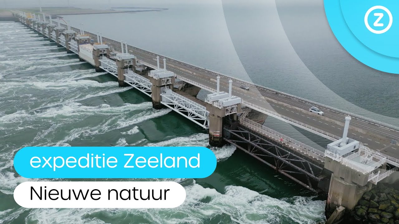NIEUWE natuur bij OOSTERSCHELDEKERING, zo is het AANGELEGD