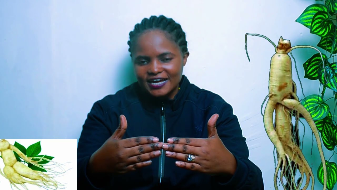 IGITSINA  CY'UMUGABO  KIRAKURA! KORESHA IBI BINTU✍️