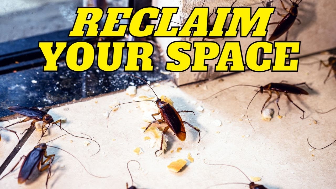 Bye to Bugs! Natural Pest Control Secrets