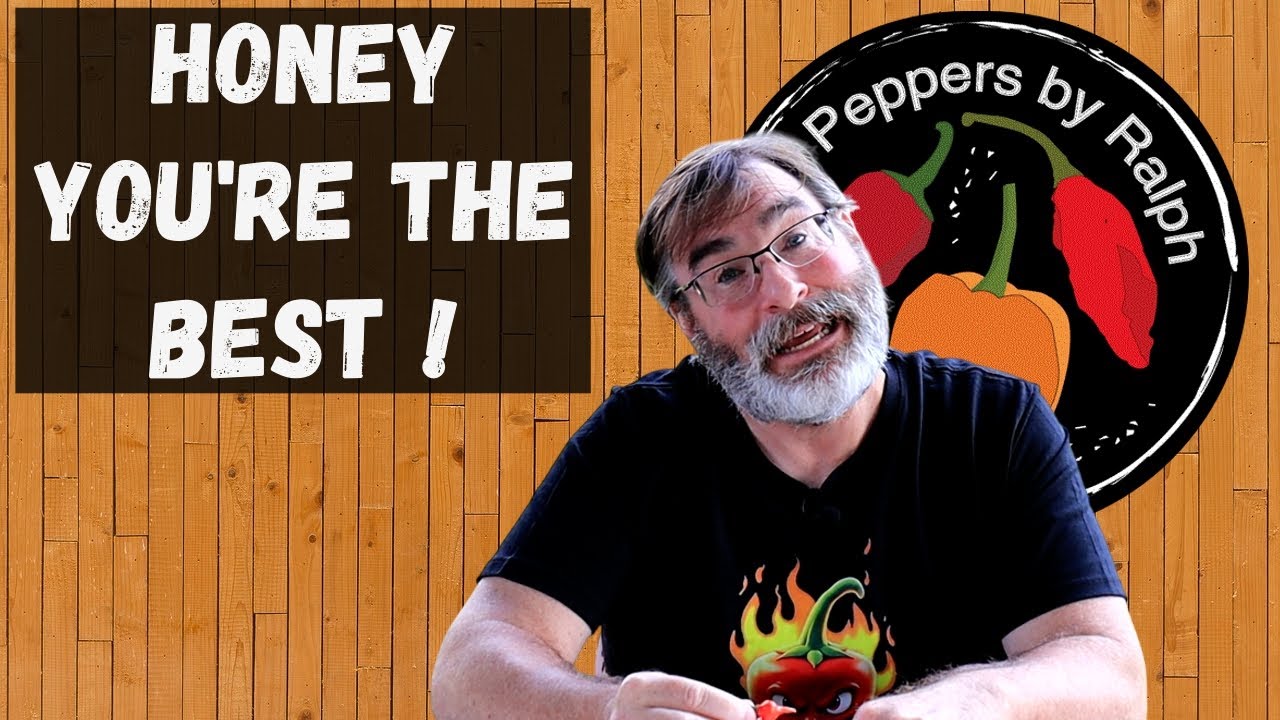 13 Peppers Live Stream