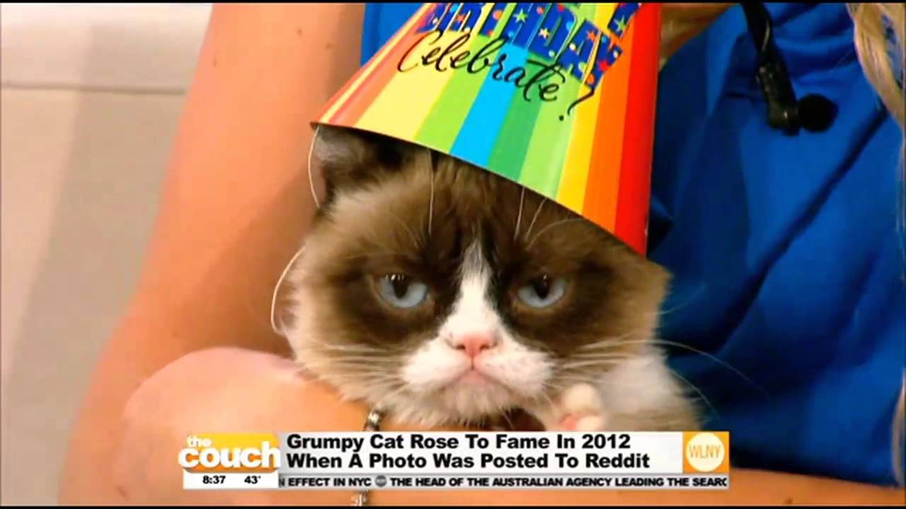 Happy Birthday Grumpy Cat!