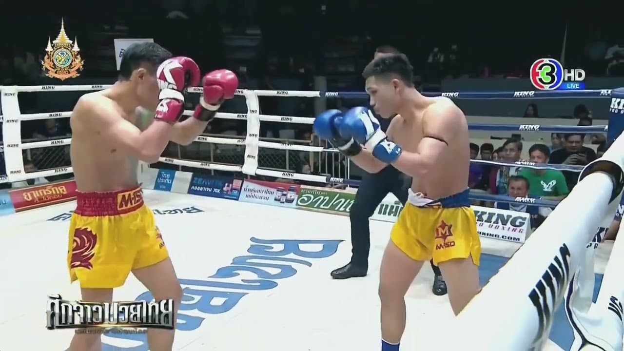 ฉลามขาว พี.เค.แสนชัยมวยไทยยิมส์ vs แก่นแก้ว ส.บุญมีฤทธิ์ - ศึกจ้าวมวยไทย - 21 กันยายน 2567 [HD]