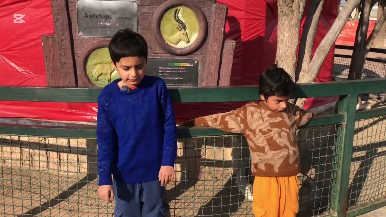 Theme park (ZOO) tour by Ibrahim✨ #zoo #kidsactivities #animals #zooanimals #tour #themepark #fun 