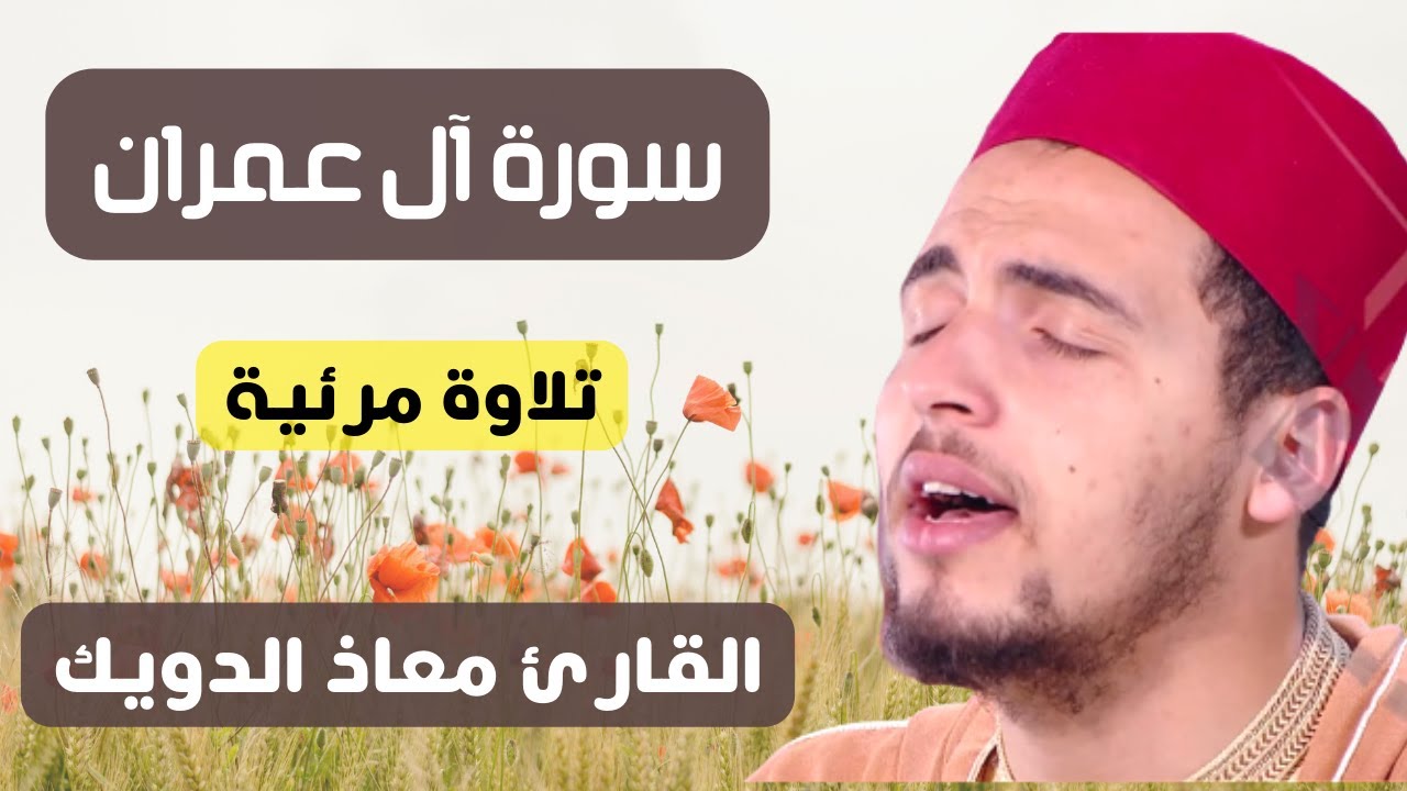 سورة آل عمران ( مرئية ) القارئ معاذ الدويك || sourat al imran mouad daoik