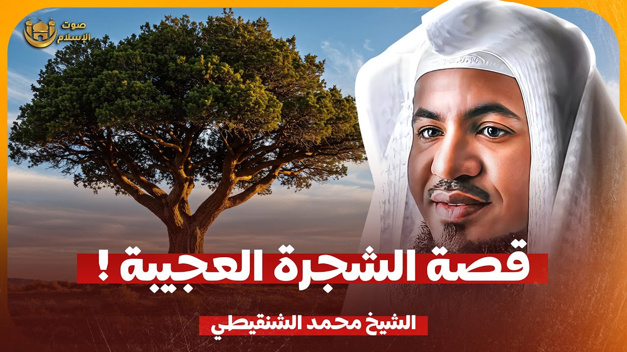 الشيخ محمد الشنقيطي 🎙️ قصة الشجرة العجيبة ✨
