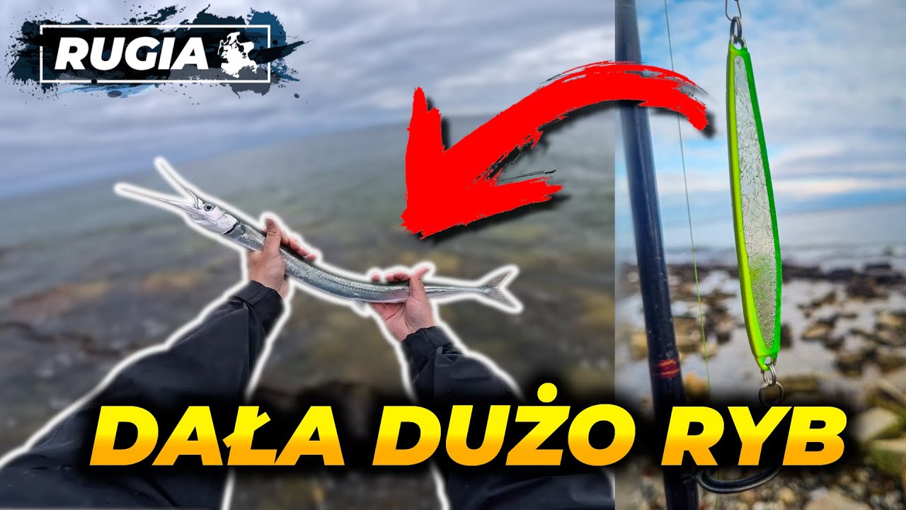 Piękna Belona z Bałtyku! Ryba za rybą!