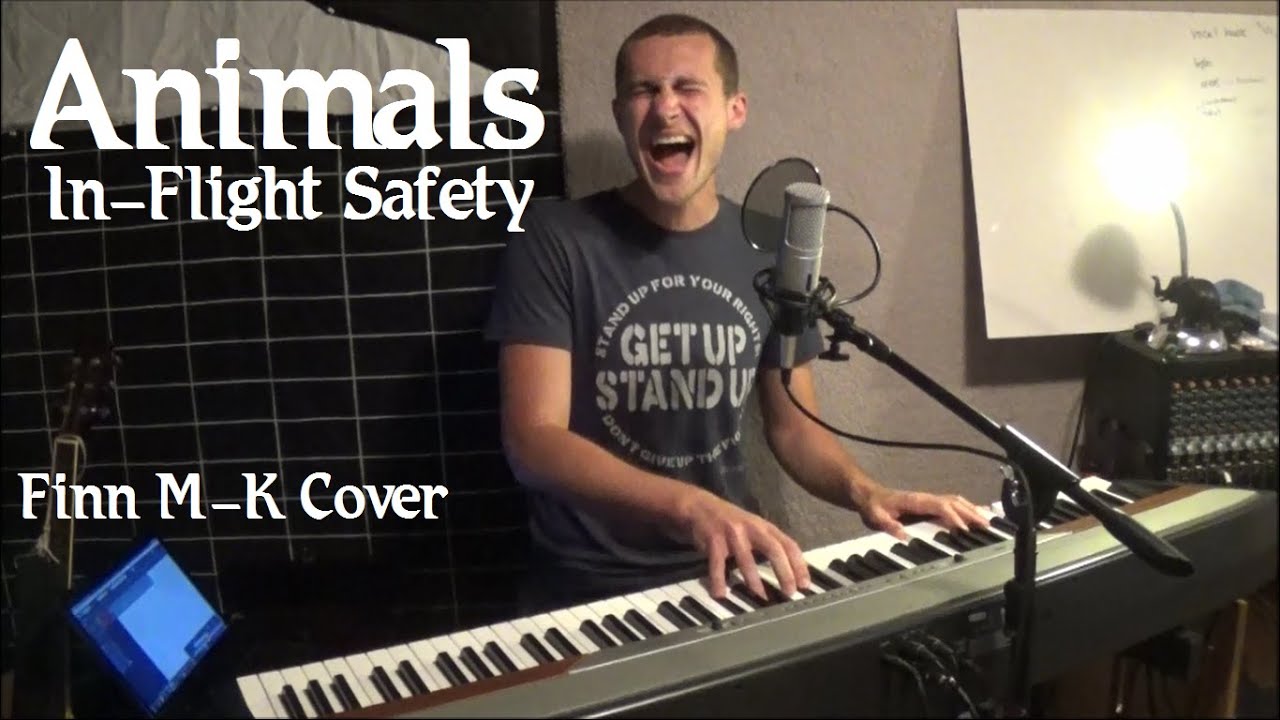 Animals (In-Flight Safety) | Finn M-K Acoustic Cover