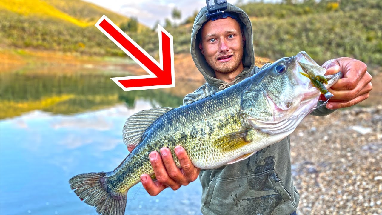 Angler f&auml;ngt GR&Ouml;SSTEN *******BARSCH mit GEHEIMNISVOLLEN K&ouml;der! K&ouml;derf&uuml;hrung f&uuml;r Gummikrebse!