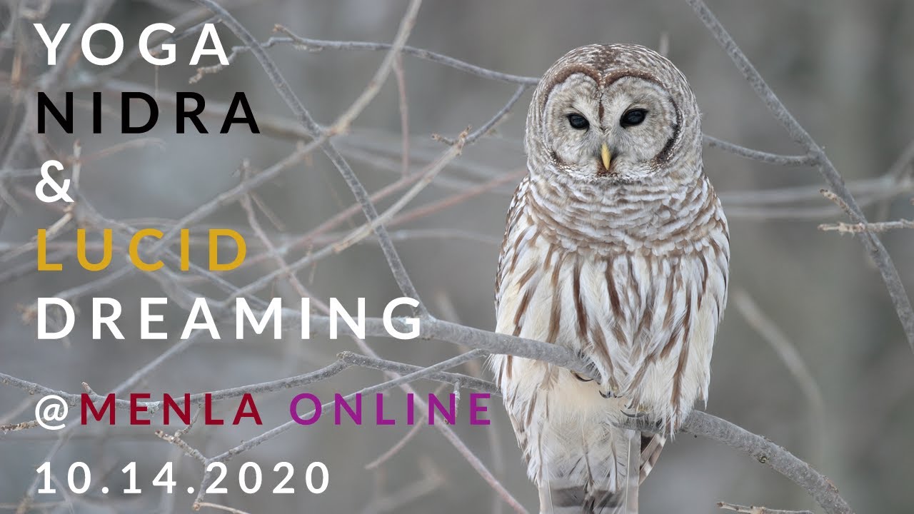 Exploring Yoga Nidra and Lucid Dreaming @ Menla Online - 10.14.2020