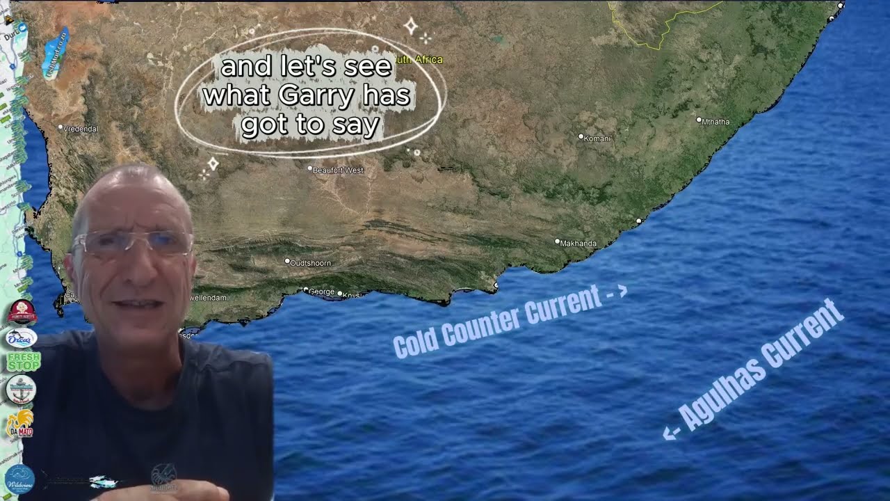 February Sardine Report with Garry Hook in Port Elizabeth  #sardinerun2026 #sardine #run #2026