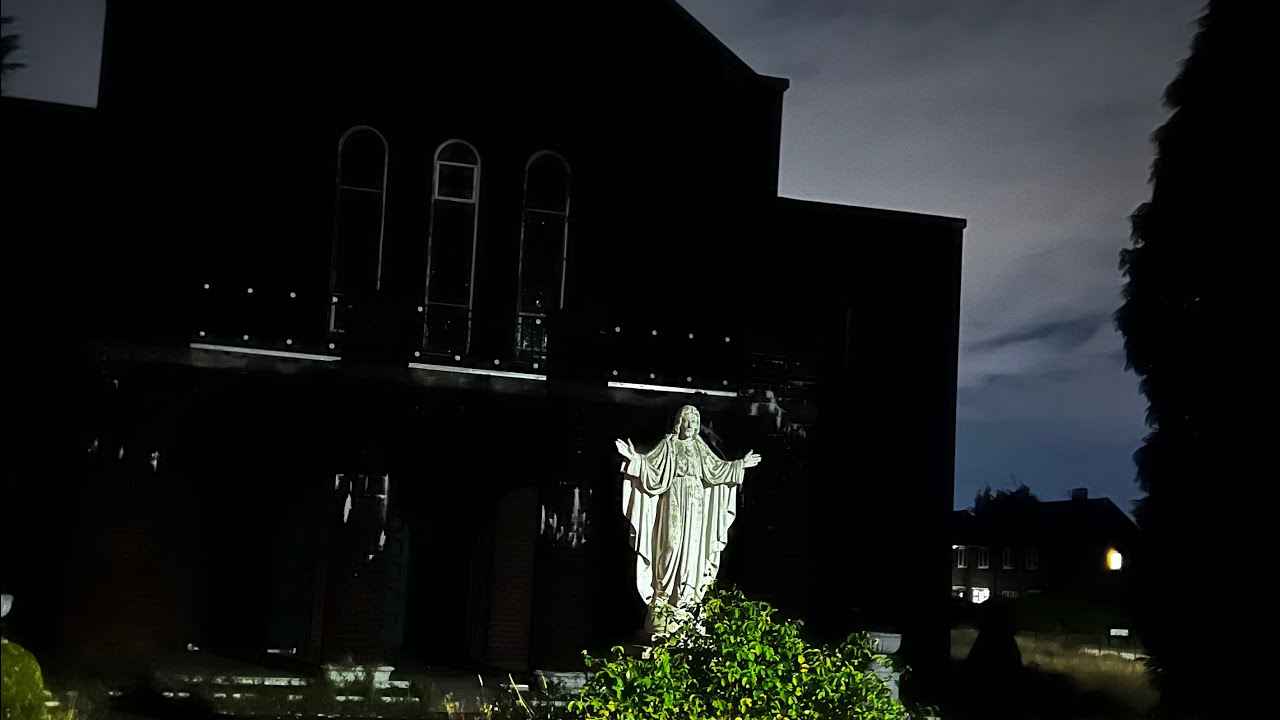 Sick Animal - The Guest List 