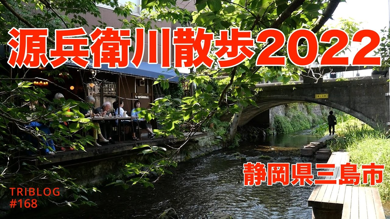 TRIBLOG #168　源兵衛川を歩く2022。初夏の静岡県三島市に訪れた際に歩きたい水の上の回廊。Lumix G100で切り取った緑と水の魅力。