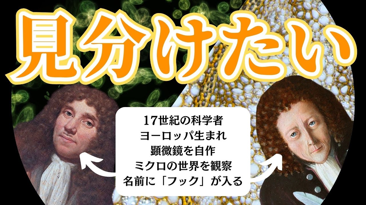 レーウェンフックとロバート・フックの見分け方