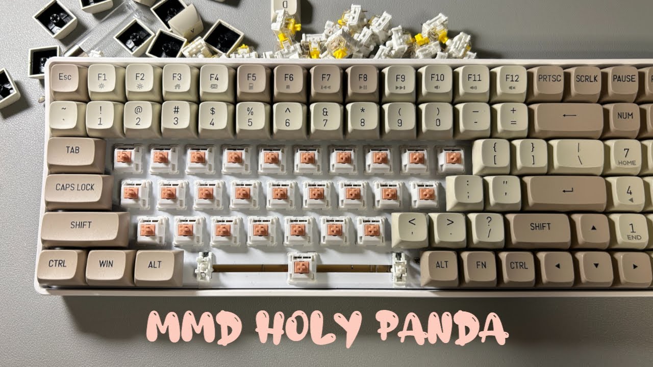 [키보드 ASMR] MMD holy panda | MMD 홀리판다 스위치 | Work with me! | Keyboard ASMR | White noise | aigo a100