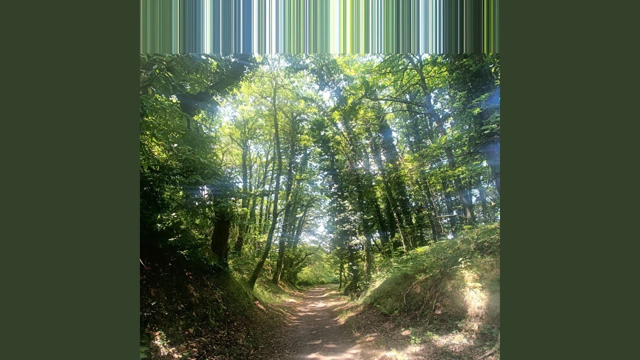 images 2021