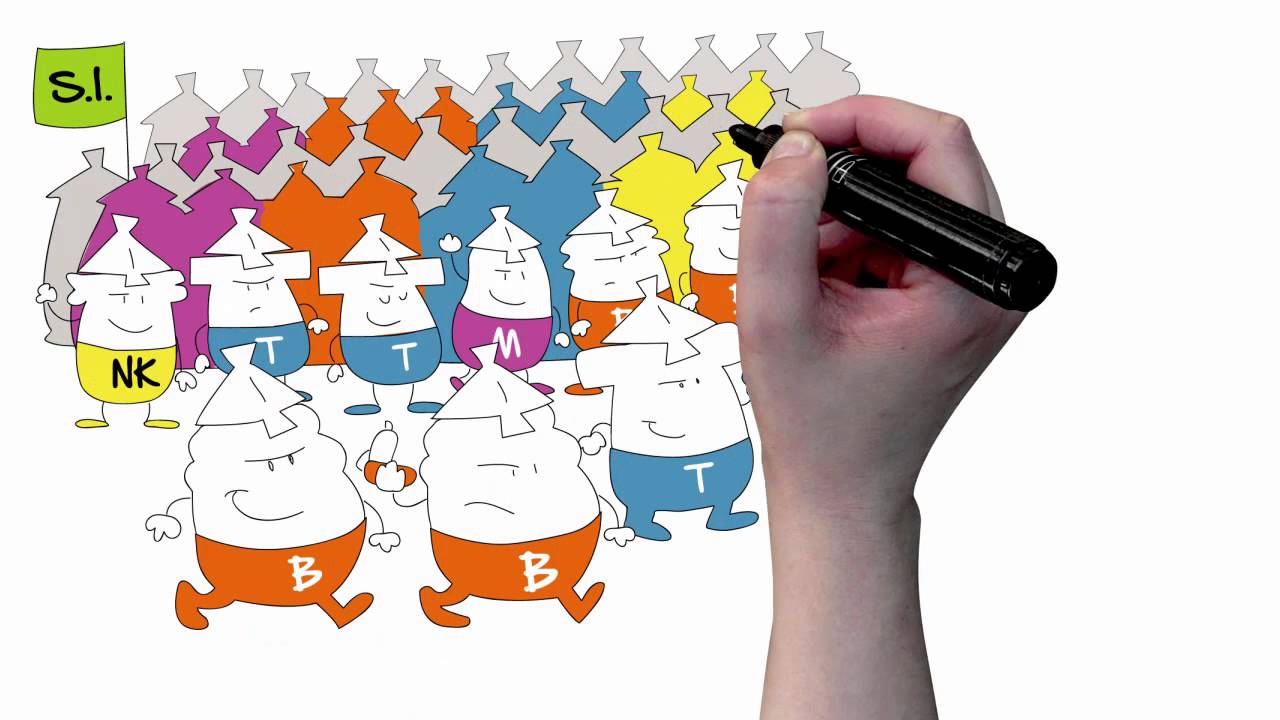 SANOFI - Qu'est-ce que la vaccination ? - La vidéo dessinée selon Toolearn