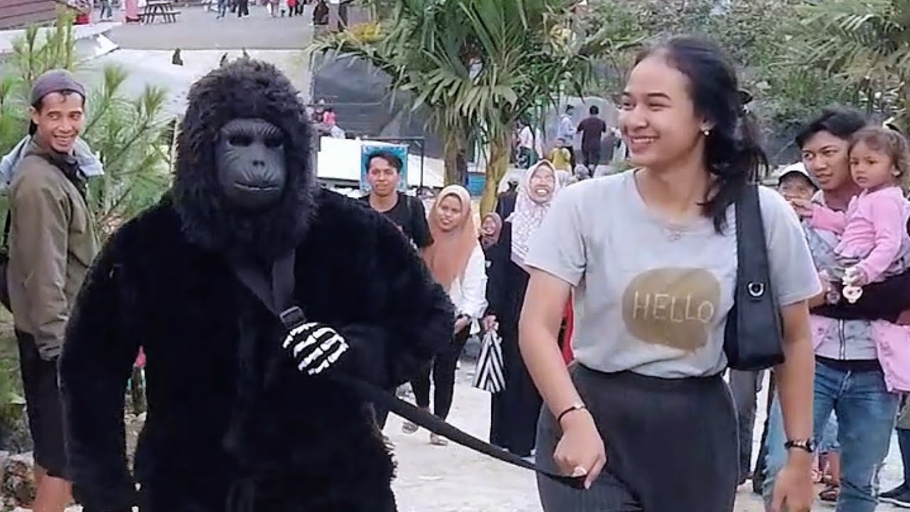 Kingkong dari planet lain..!! Funny video prank