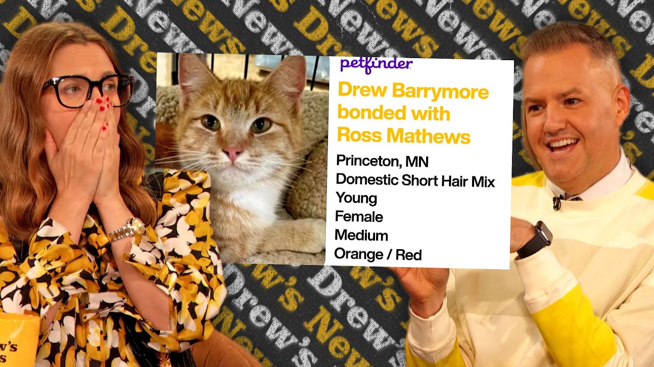 Drew and Ross Mathews React to Their Cat Namesakes Drew Barrymore and Ross Mathews | Drew's News