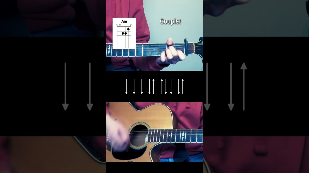 Ma faute (Marine) #guitartok #guitare #tutoguitare #d&eacute;butant