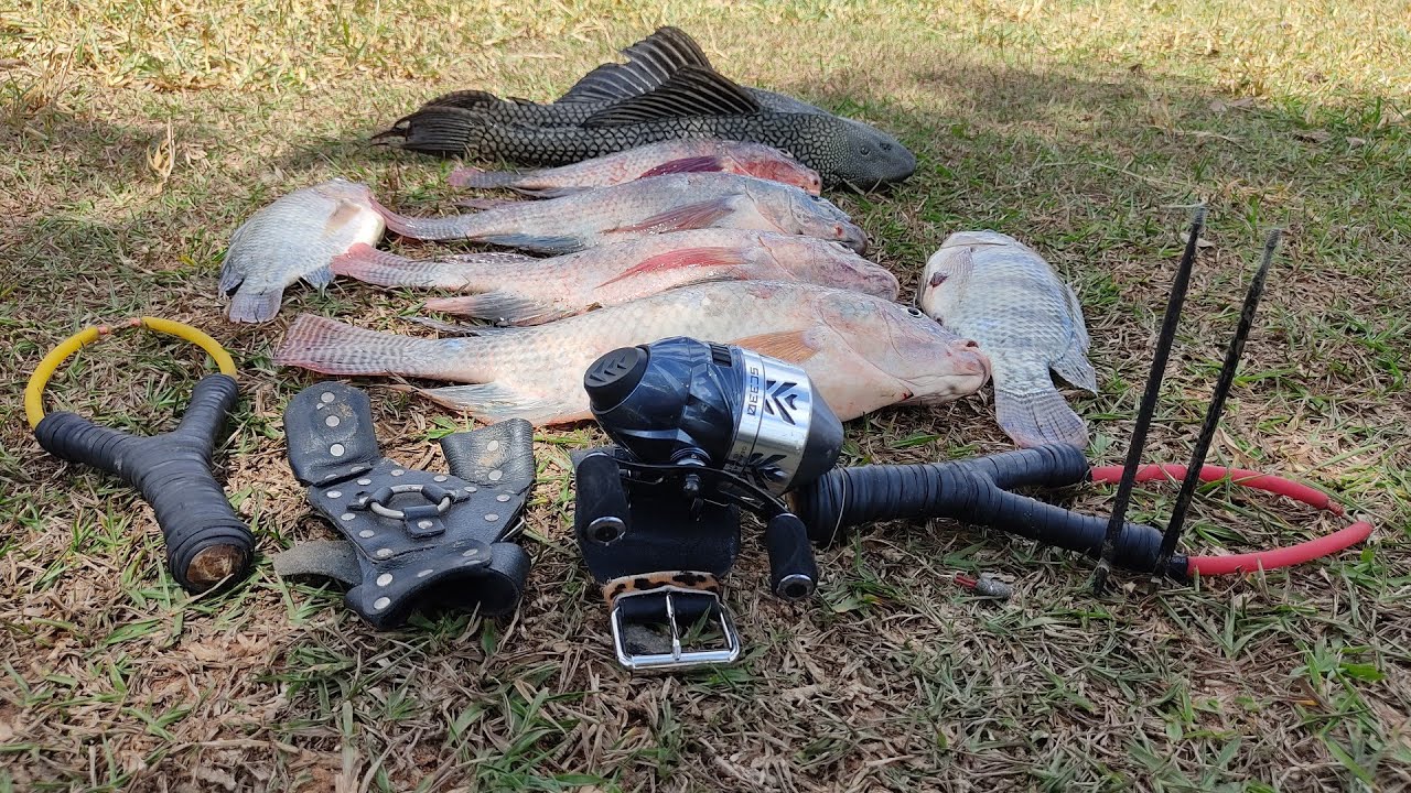 Aquela  pescaria que Rendeu... pesca com estilingue/ slingshot fishing 🇧🇷
