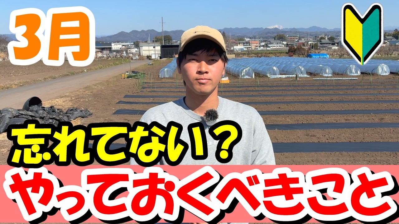 【家庭菜園】３月にやるべきこと忘れていませんか？これから始めるかたはこれに注意しながらやってください