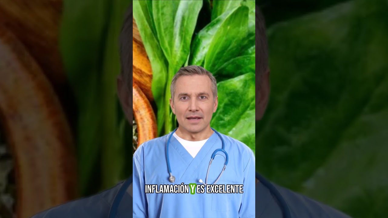 LLANTEN: La Planta Milagrosa y sus Beneficios