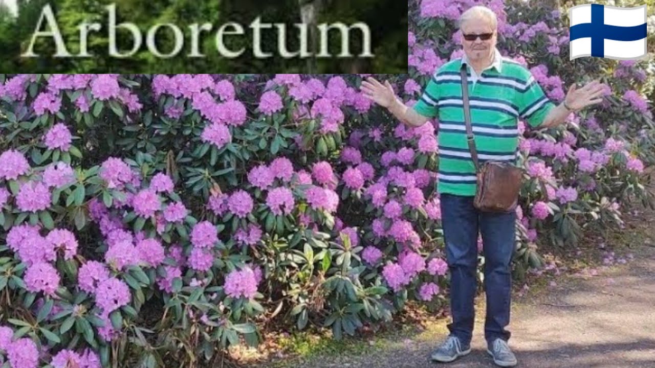 У Озера Самый Красивый Парк Больницы - ARBORETUM Тампере Финляндия. Как живут другие. Лето Влог