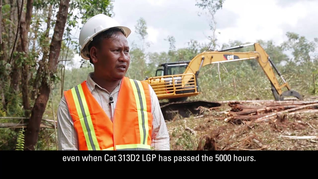 313D2 LGP Excavator in Forestry Applications | Testimonials